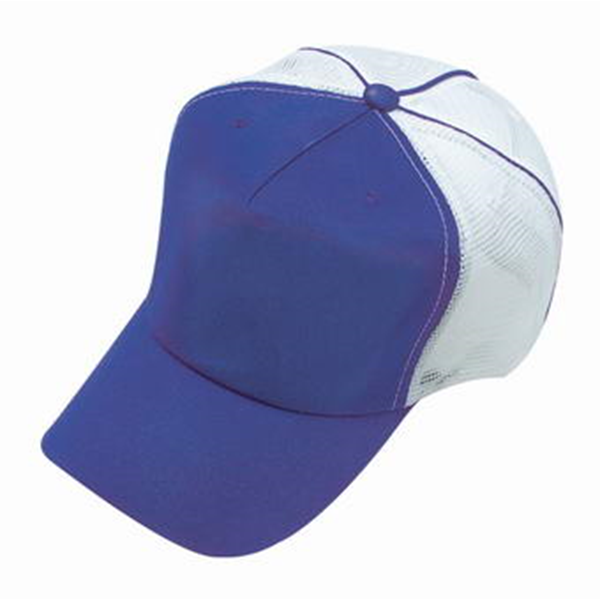trucker mesh cap